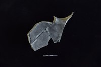 陶罐藏品圖，第2張